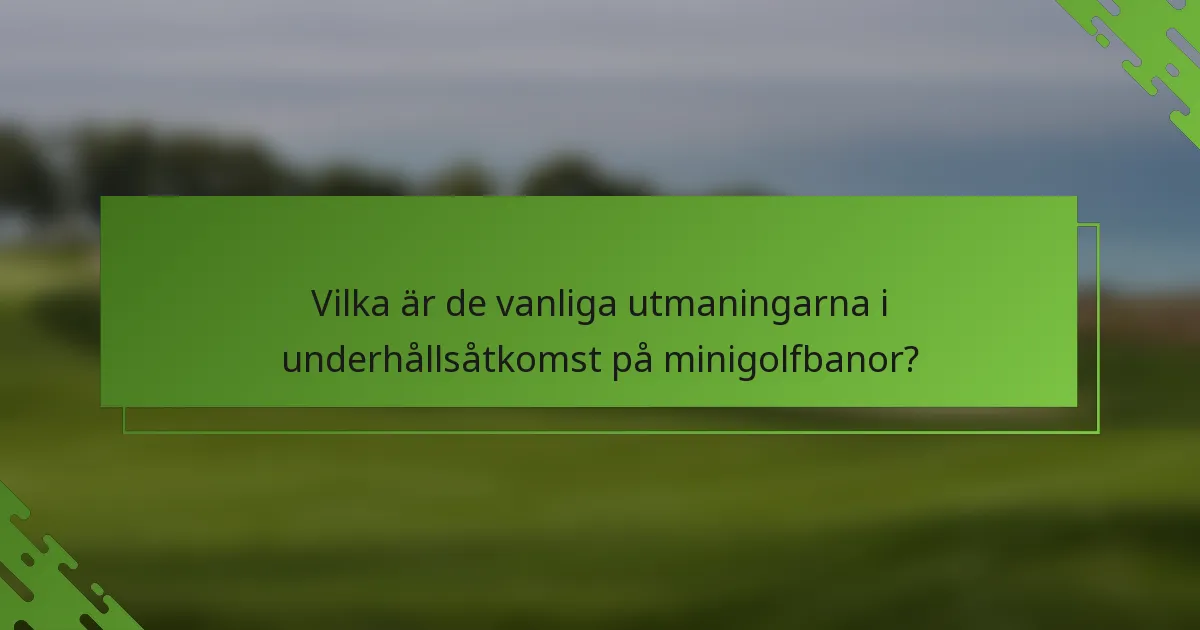 Vilka är de vanliga utmaningarna i underhållsåtkomst på minigolfbanor?